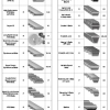 BANDO Belts Catalogue
