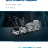 WEG Elektrik Motoru Katalog