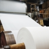 Pulp & Paper Industry