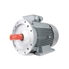 ELECTRIC MOTORS